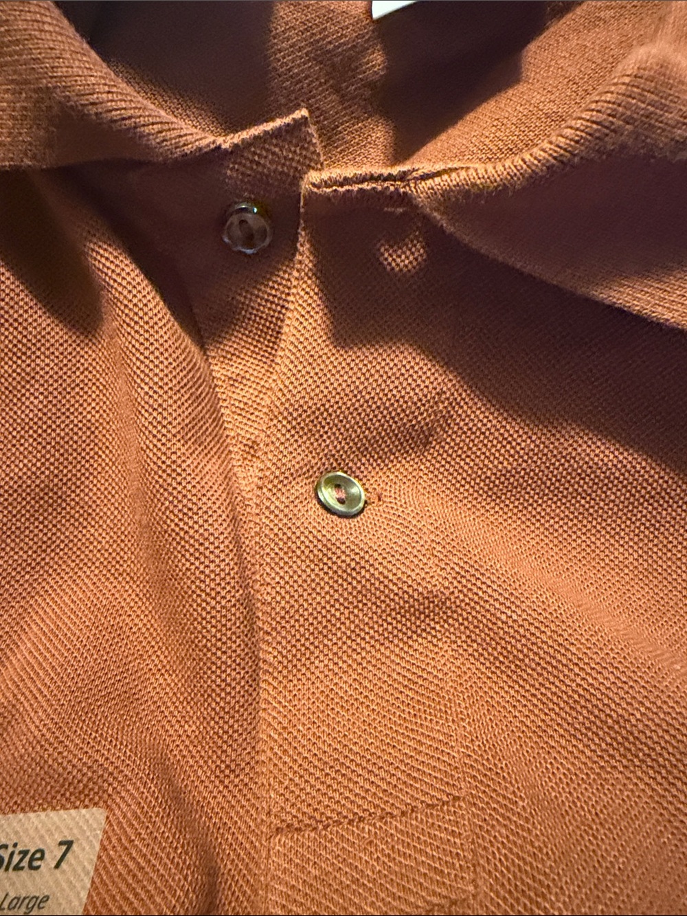 Lacoste Men's Brick Red Polo Shirt with Signature Crocodile - Picture 7 of 7
